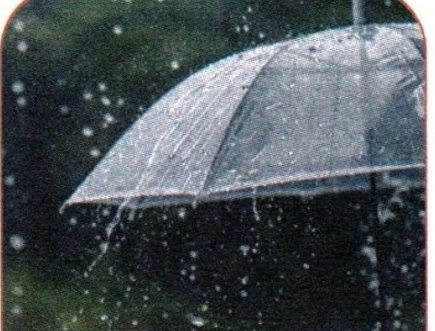 雨