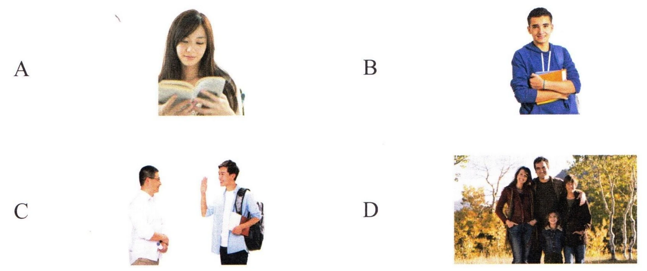 Các hình A đến D cho câu 11-13